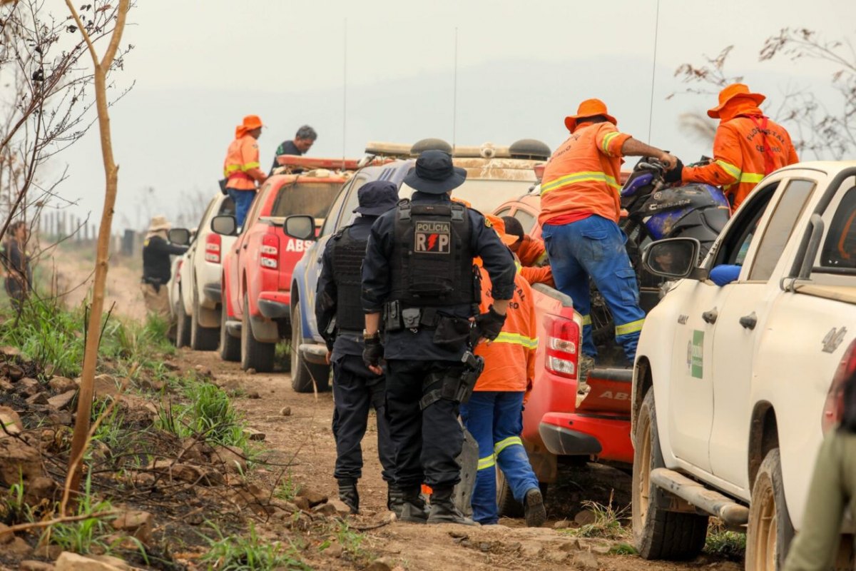 OPERAÇÃO TEMPORÃ: Parque Estadual Guajará-Mirim atinge redução recorde em área atingida por incêndios