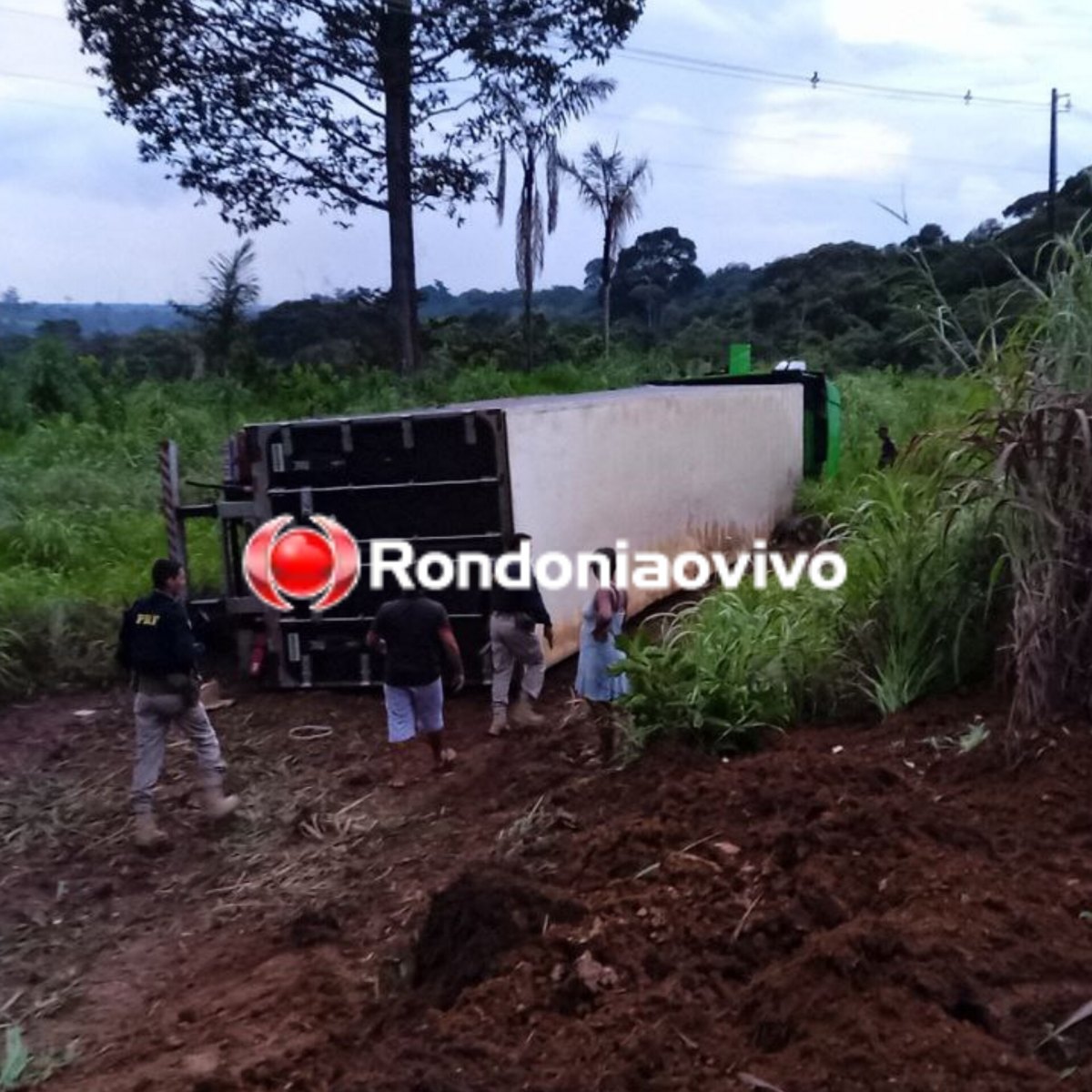 COLISÃO FRONTAL: Motorista fica presa nas ferragens e carreta tomba após grave acidente na BR-364
