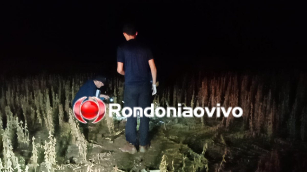 HOMICÍDIOS INVESTIGA: Ossada humana é encontrada em fazenda de plantação de soja 