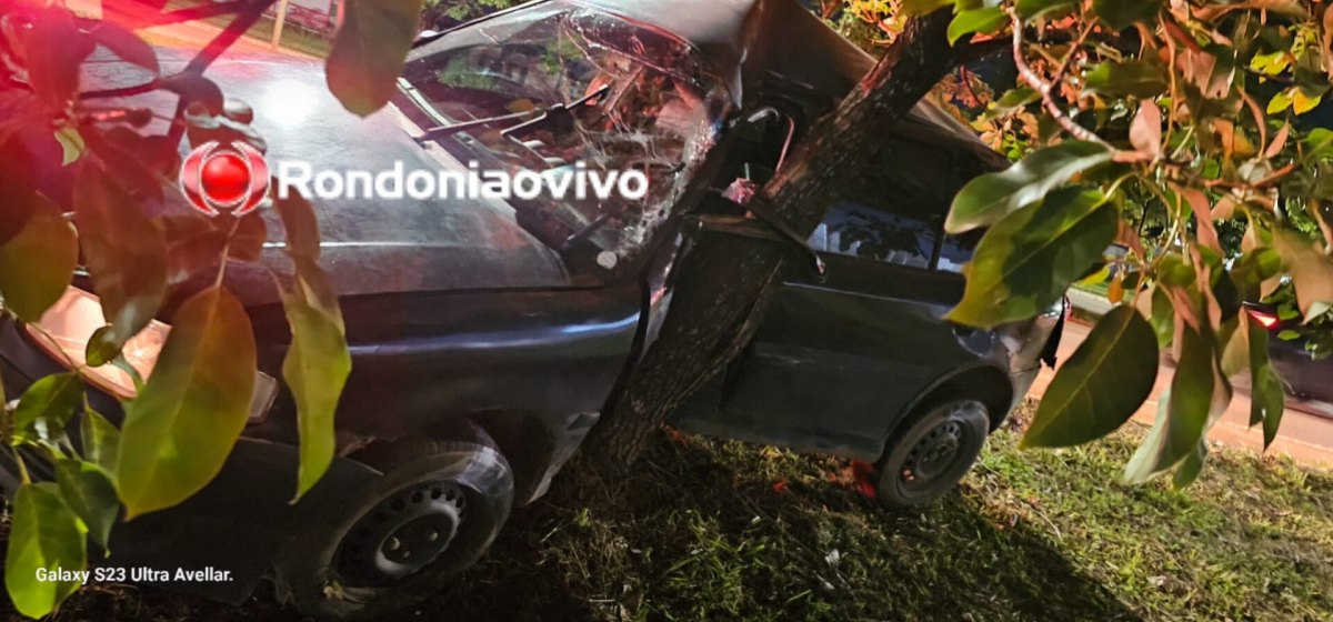 NA IMIGRANTES: Motorista bate violentamente carro em árvore para não atropelar motociclista 