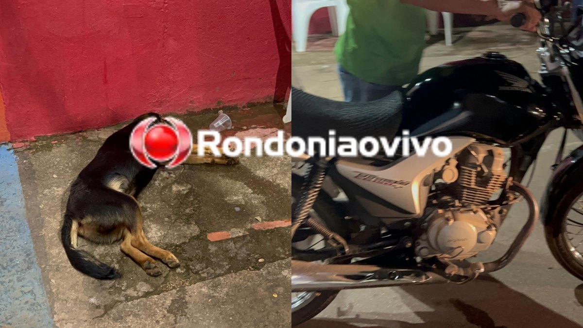 VÍDEO: Mulher fica em estado grave após atropelar cachorro e bater cabeça no meio fio