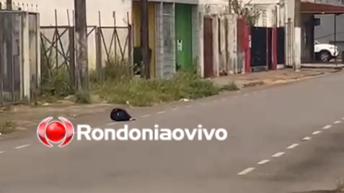 SUSPEITA DE EXPLOSIVO: Mochila encontrada em banco é detonada por Esquadrão Antibombas - VIDEO