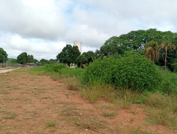 ECO PARQUE: Semusb atende pedido de Márcio Pacele e realiza mutirão de limpeza