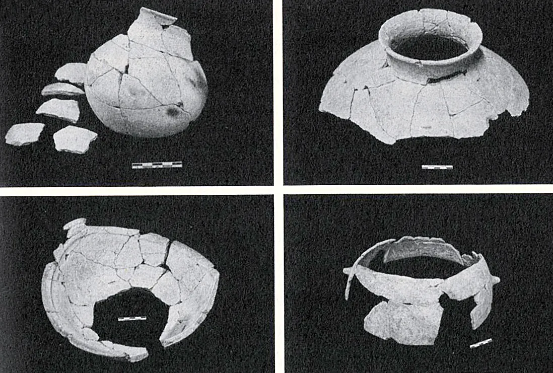 LANÇAMENTO: História da Amazônia é contada em detalhes no livro 'Sob os Tempos do Equinócio'