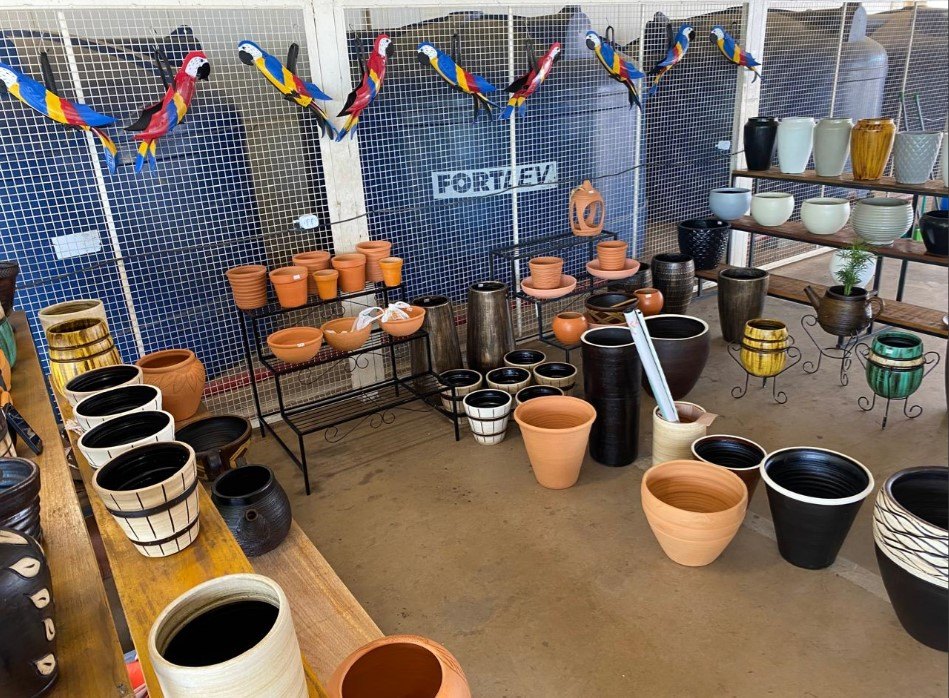 BENEFICENTE: Festival de Flores de Holambra chega a PVH e já encanta visitantes