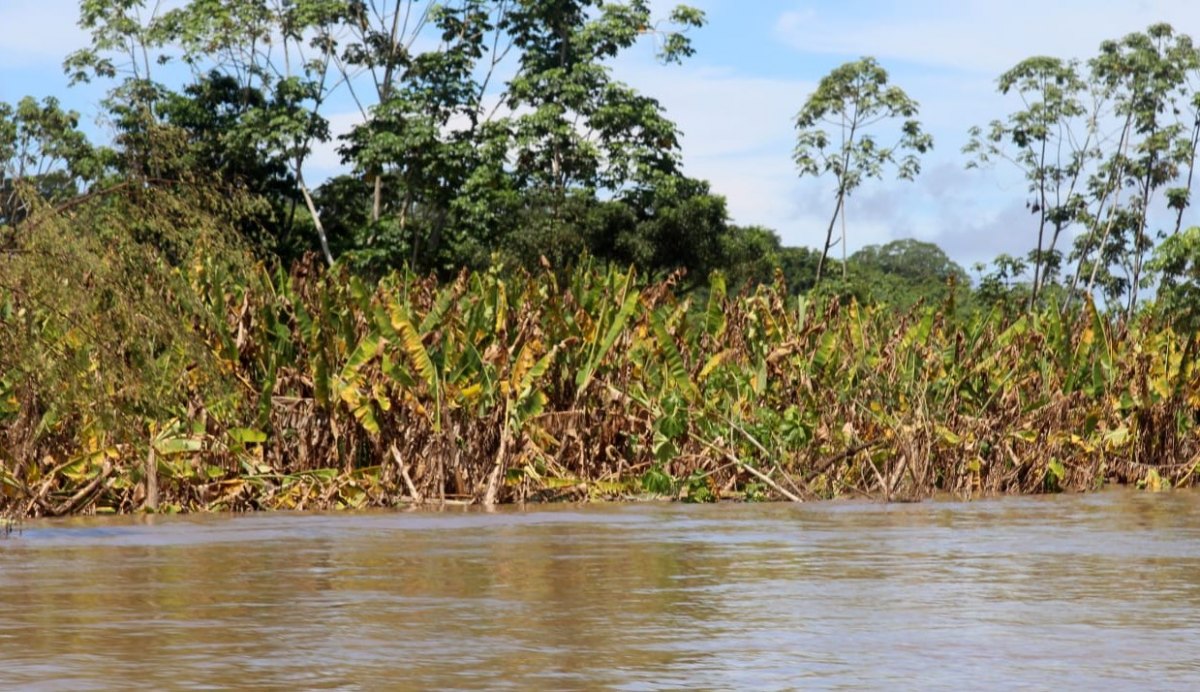 DEBAIXO D’ÁGUA: Constantes cheias provocam impactos para os moradores de Nazaré