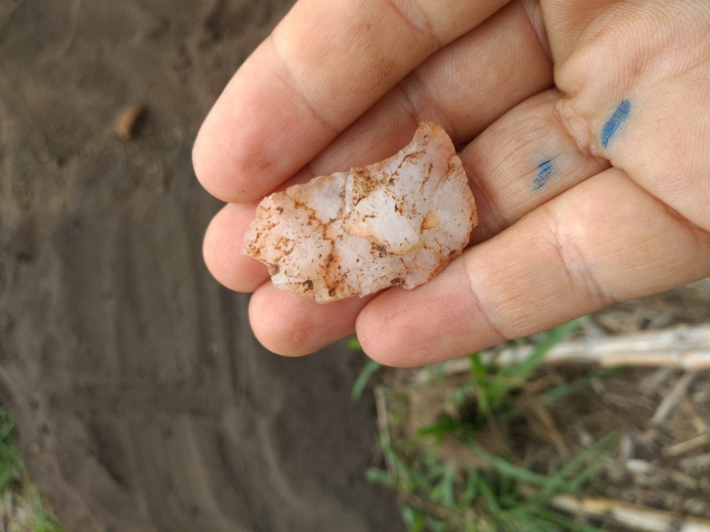 SITÍOS ARQUEOLÓGICOS: Fundadores da Energisa recebem homenagens em Rondônia