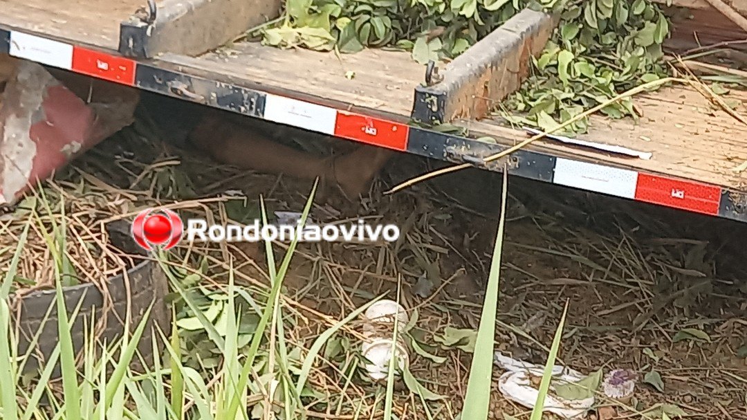 VÍDEO: Caminhão capota na BR-364 e mata trabalhadores 
