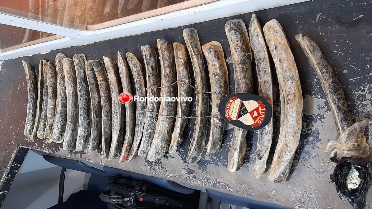 NO ÔNIBUS: Denarc encontra droga escondida em pneus de bicicletas