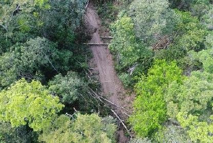 ÊXODO: PF realiza 2° fase de operação, prende empresário e bloqueia 114 milhões de madeireiras