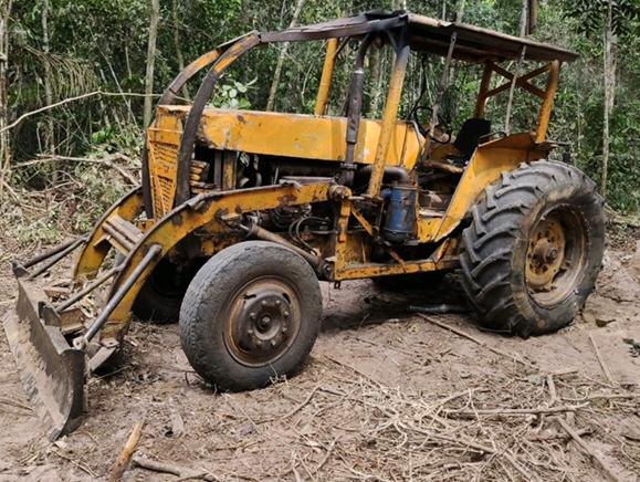 ÊXODO: PF realiza 2° fase de operação, prende empresário e bloqueia 114 milhões de madeireiras