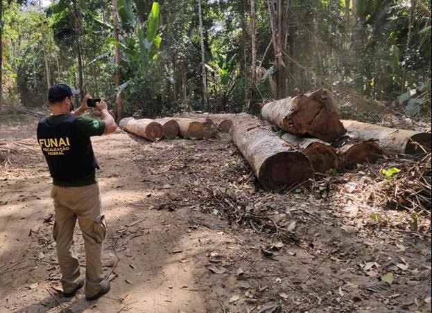 ÊXODO: PF realiza 2° fase de operação, prende empresário e bloqueia 114 milhões de madeireiras