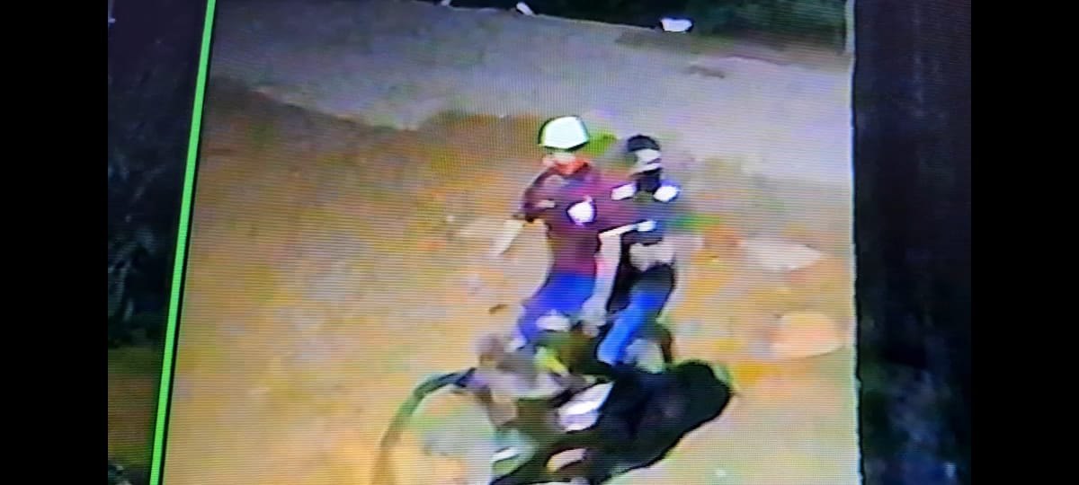 VÍDEO: Ladrões de câmeras de monitoramento são flagrados agindo em residência na capital