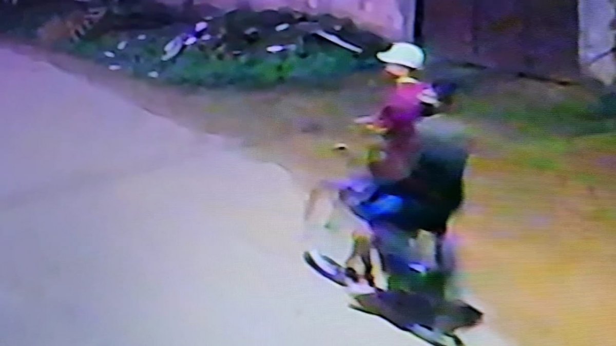 VÍDEO: Ladrões de câmeras de monitoramento são flagrados agindo em residência na capital