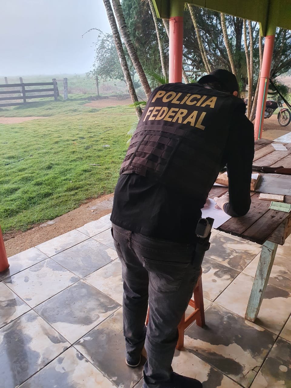 FLORESTA S/A: PF faz operação para desarticular madeireiras irregulares na Flona Bom Futuro