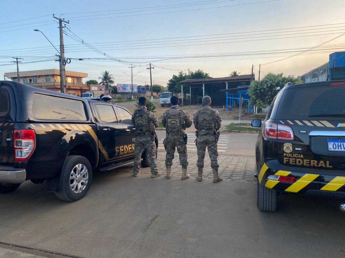 FLORESTA S/A: PF faz operação para desarticular madeireiras irregulares na Flona Bom Futuro