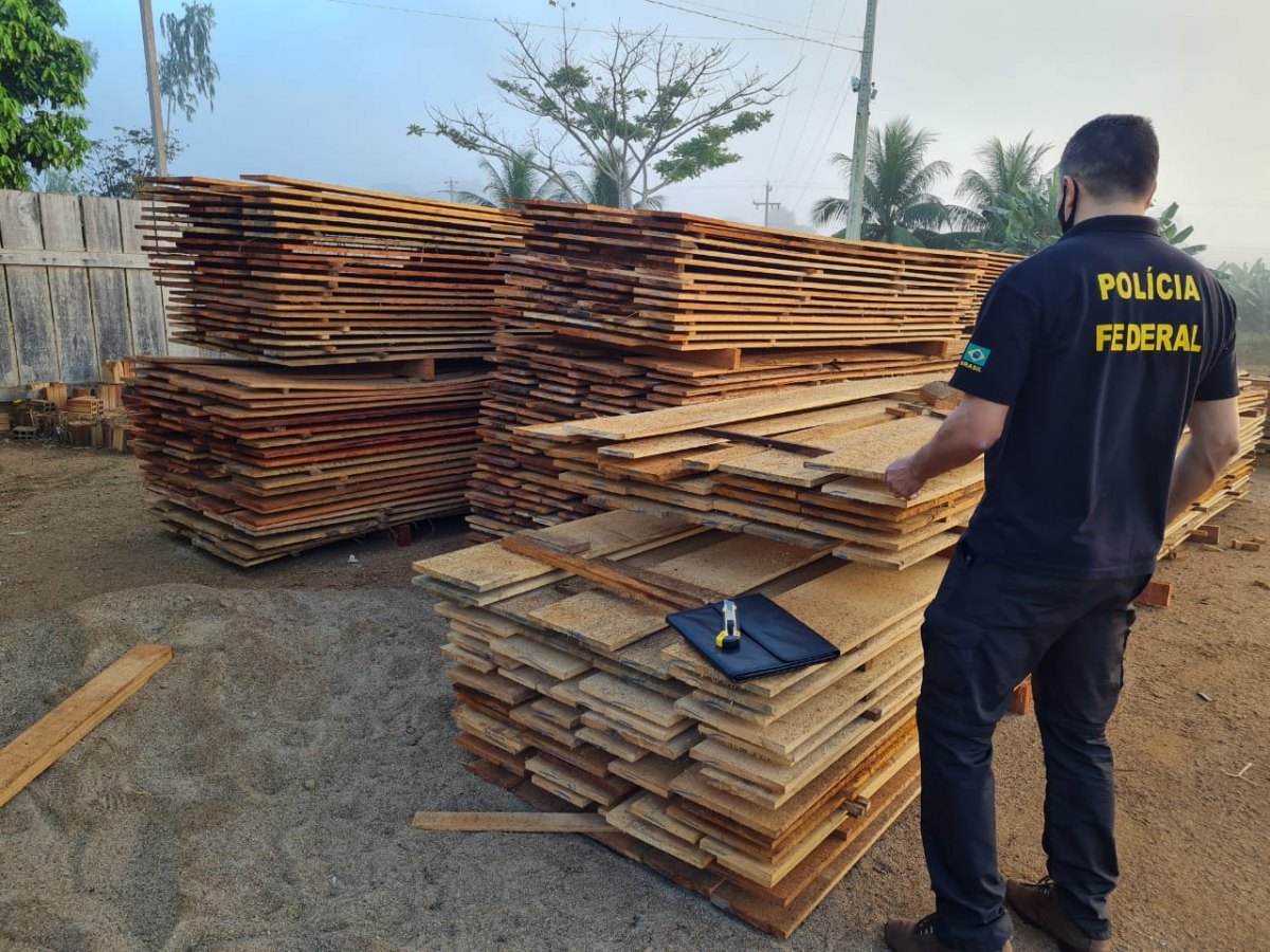 FLORESTA S/A: PF faz operação para desarticular madeireiras irregulares na Flona Bom Futuro