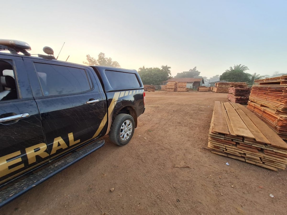FLORESTA S/A: PF faz operação para desarticular madeireiras irregulares na Flona Bom Futuro
