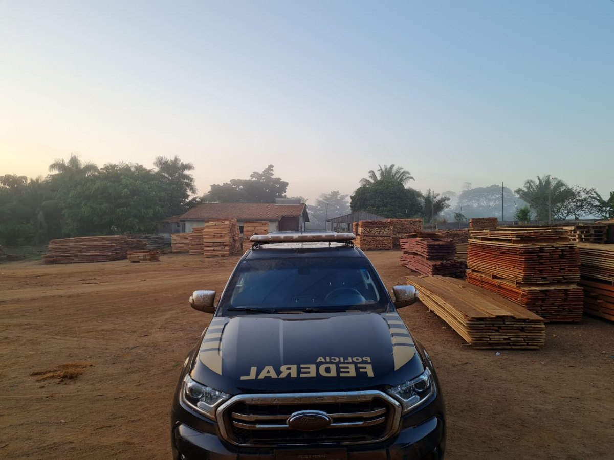 FLORESTA S/A: PF faz operação para desarticular madeireiras irregulares na Flona Bom Futuro