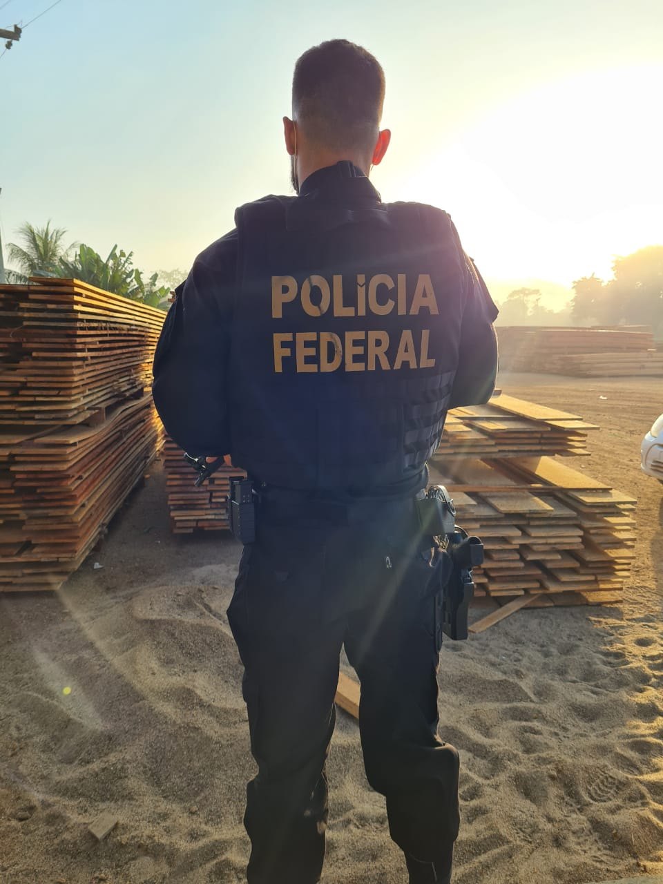 FLORESTA S/A: PF faz operação para desarticular madeireiras irregulares na Flona Bom Futuro