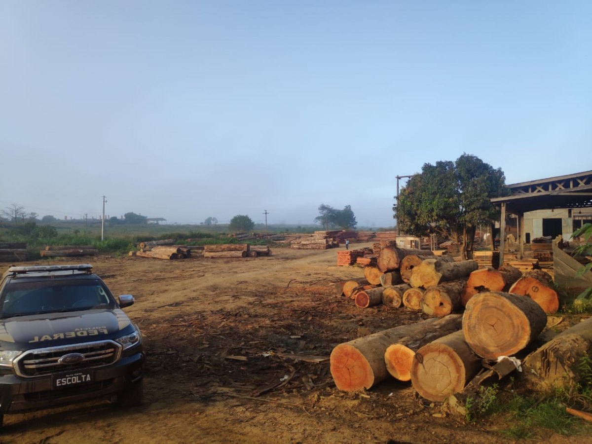 FLORESTA S/A: PF faz operação para desarticular madeireiras irregulares na Flona Bom Futuro