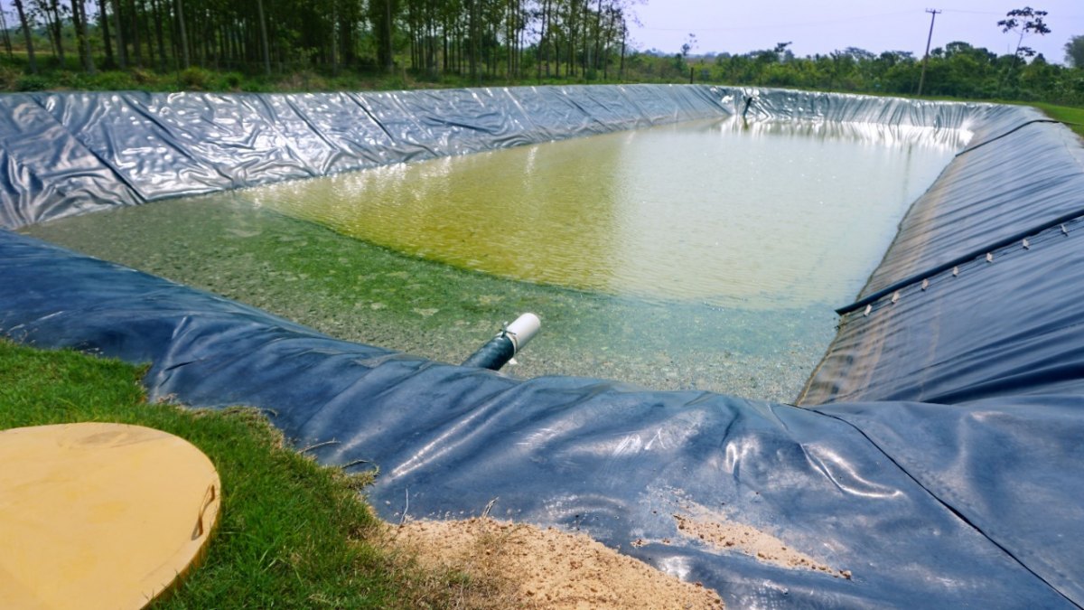 MEIO AMBIENTE: MFM reforça universalização do tratamento de resíduos sólidos urbanos em Rondônia 
