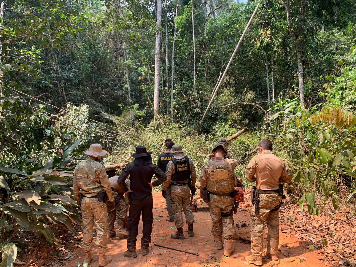 PERTINÁCIA: Operação da PF e Ibama destrói maquinários de invasores em Terra Indígena