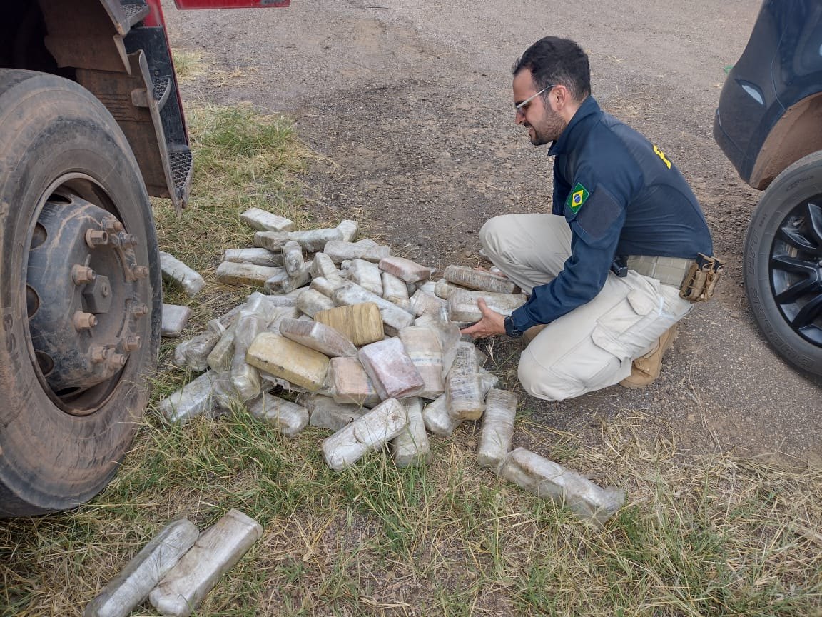 APREENSÃO MILIONÁRIA: Dupla é presa com 300 quilos de maconha Colômbia Gold na BR-364