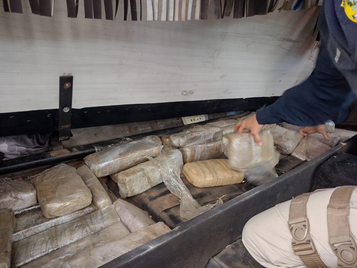 APREENSÃO MILIONÁRIA: Dupla é presa com 300 quilos de maconha Colômbia Gold na BR-364