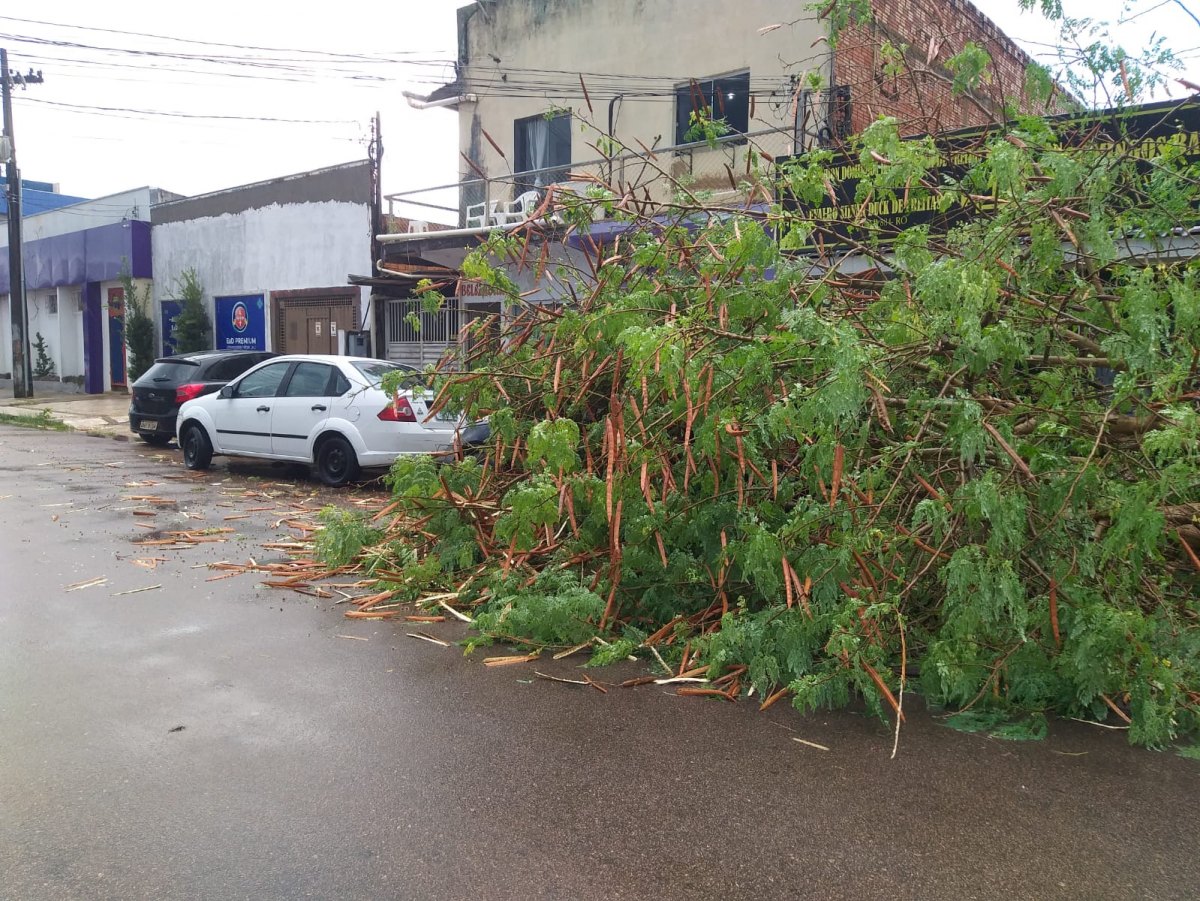 DESTRUIÇÃO: Fortes ventos e chuva intensa causam prejuízos em Porto Velho
