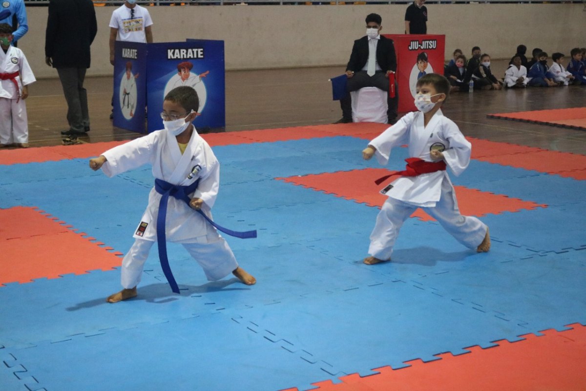 EVENTO: Alex Silva empenha emenda para 3º Festival da Criança de Artes Maciais 