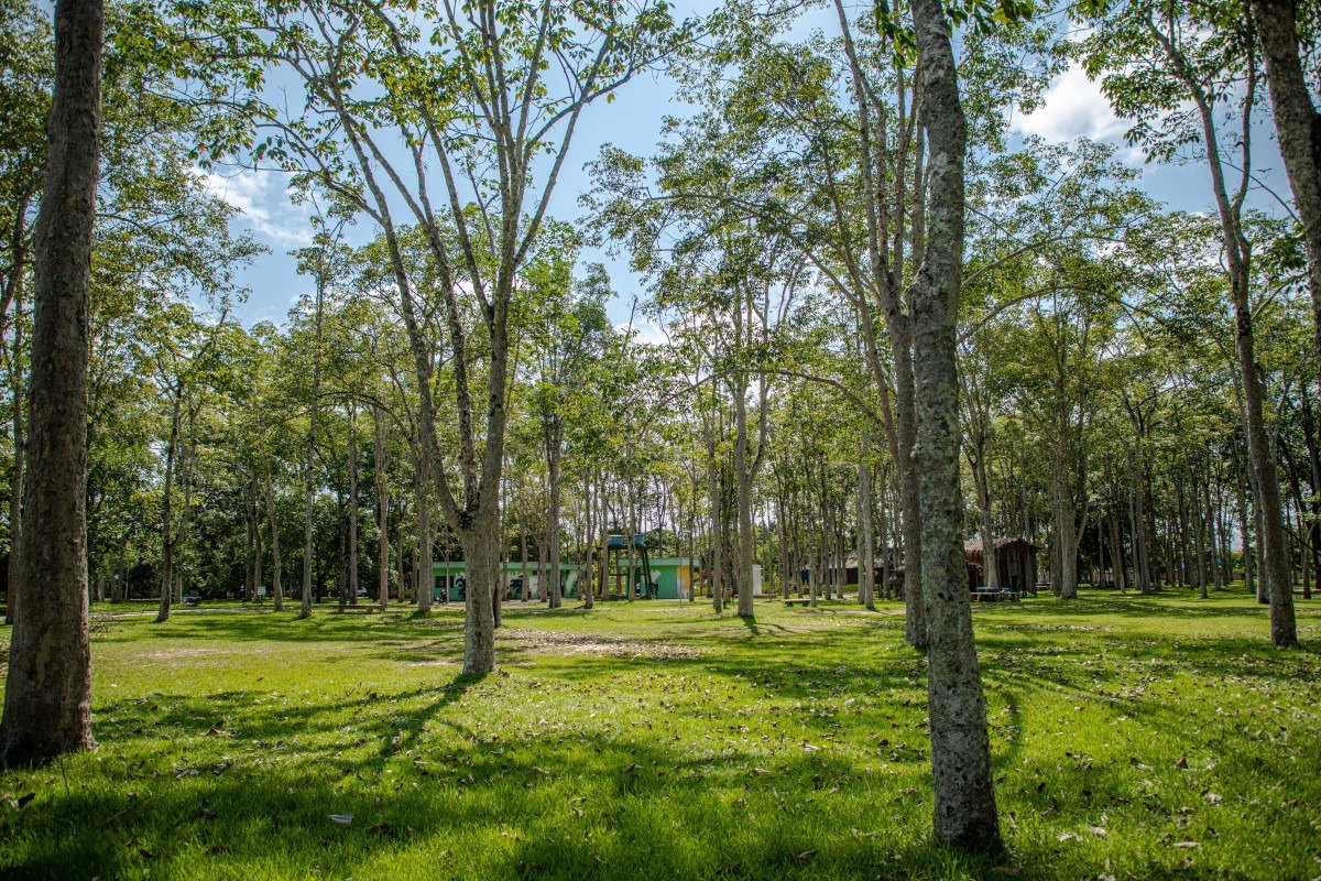 LAZER: Parque Circuito recebe em média dois mil visitantes todos os dias