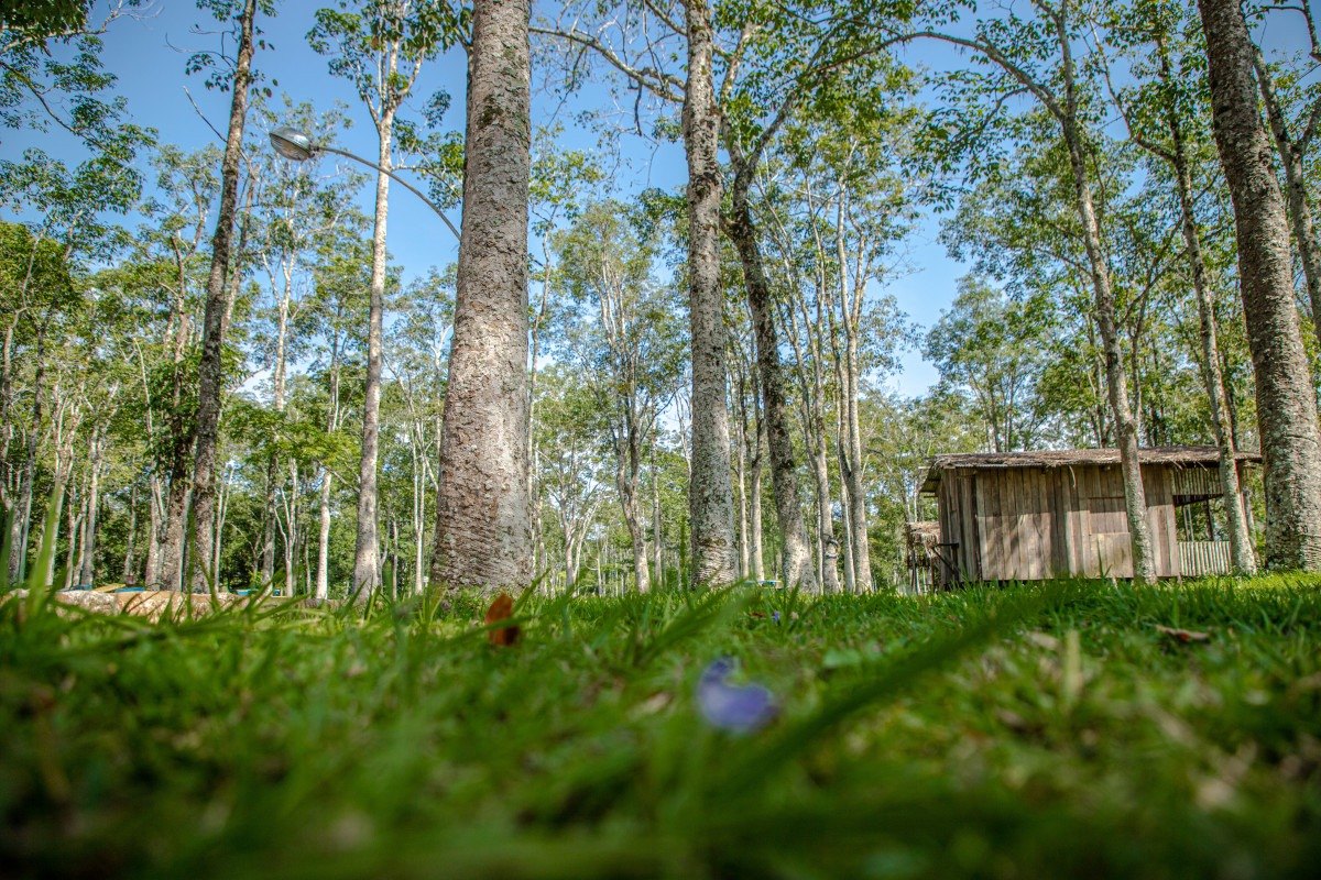 LAZER: Parque Circuito recebe em média dois mil visitantes todos os dias