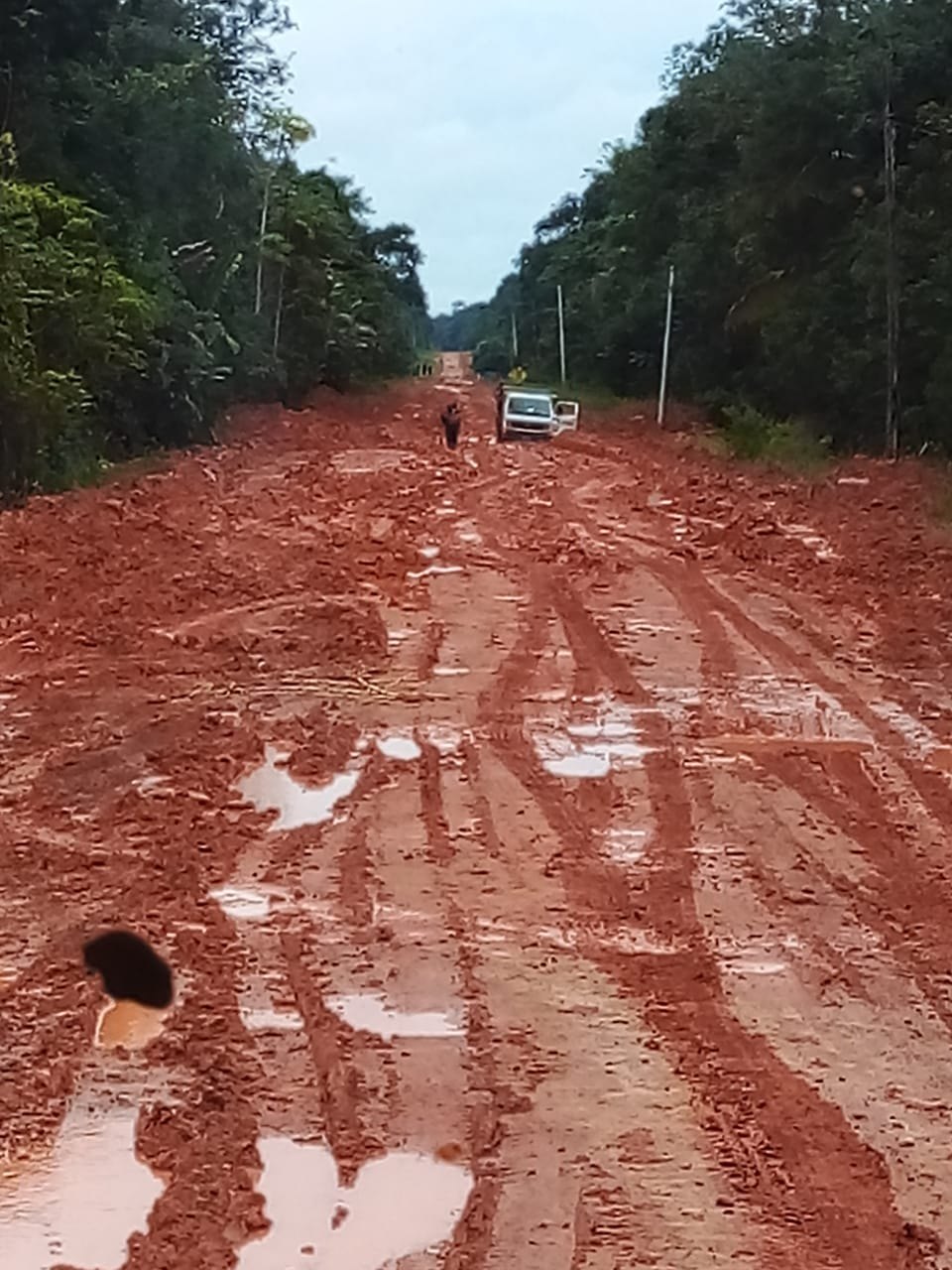 ESQUECIMENTO: Usuários da BR-319 reclamam de promessas não cumpridas pelo presidente