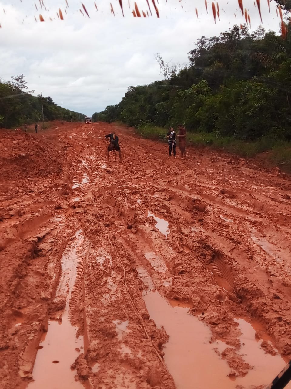 ESQUECIMENTO: Usuários da BR-319 reclamam de promessas não cumpridas pelo presidente