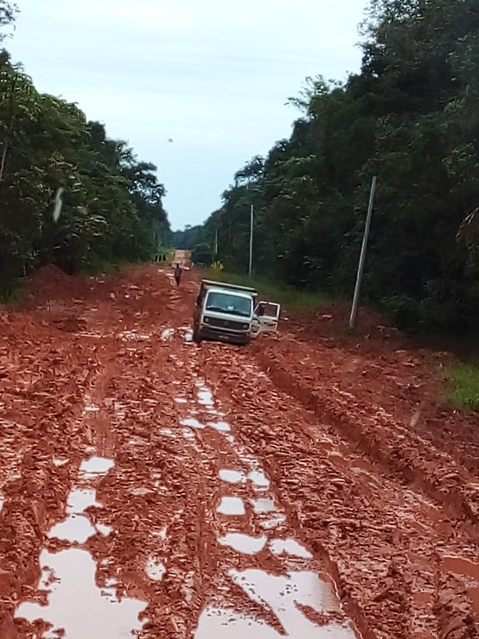 ESQUECIMENTO: Usuários da BR-319 reclamam de promessas não cumpridas pelo presidente