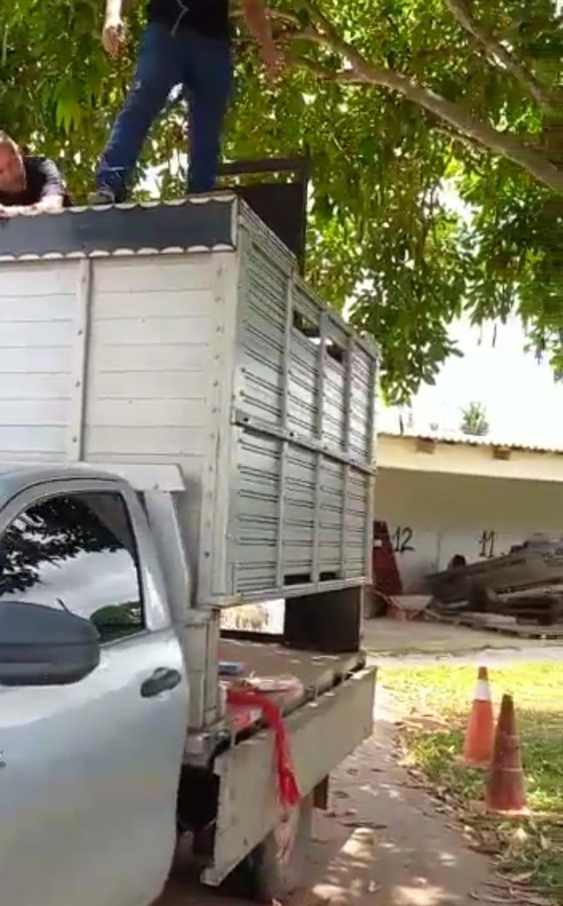 81 QUILOS: Denarc encontra Hilux 'recheada' de cocaína em posto de combustíveis