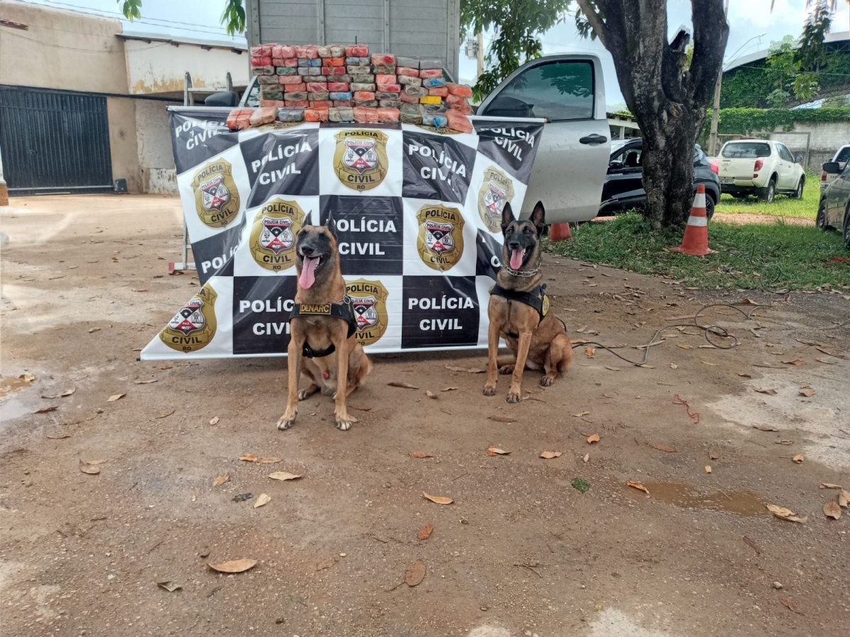 81 QUILOS: Denarc encontra Hilux 'recheada' de cocaína em posto de combustíveis