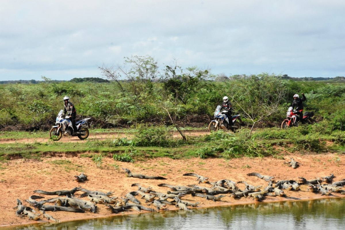 EXPEDIÇÕES REDRIDER 2022: Liberdade, adrenalina e vivências inesquecíveis em duas rodas