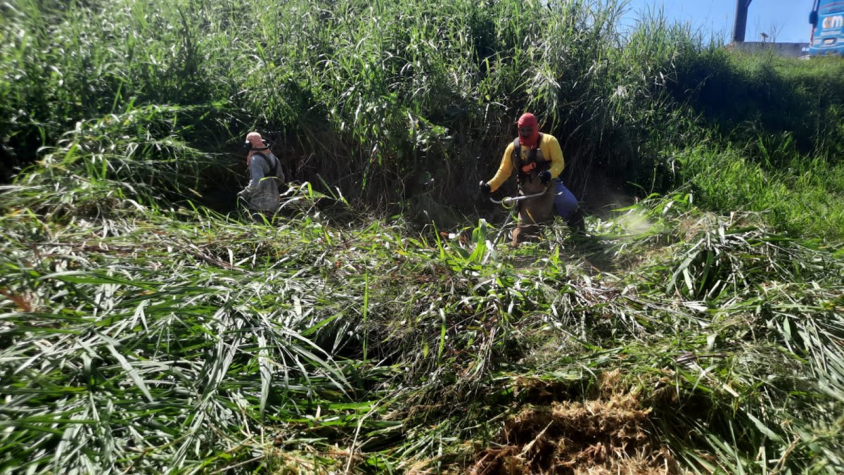 ATENDIDO: Serviços de sinalização e limpeza são realizados após pedido de Junior Queiroz