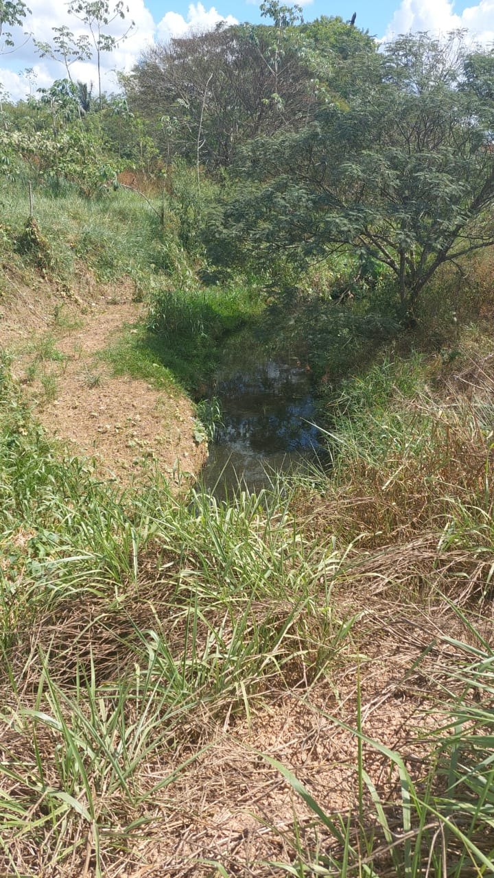 POLUIÇÃO: Moradores denunciam esgoto do Cristal da Calama jogado em igarapé