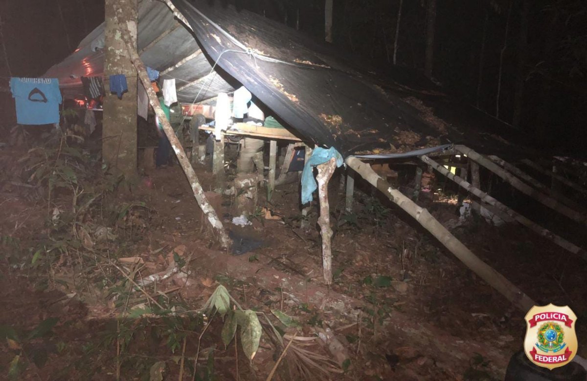 INVASORES: Terra Indígena Tubarão Latundê é alvo de ação da PF contra madeireiros ilegais