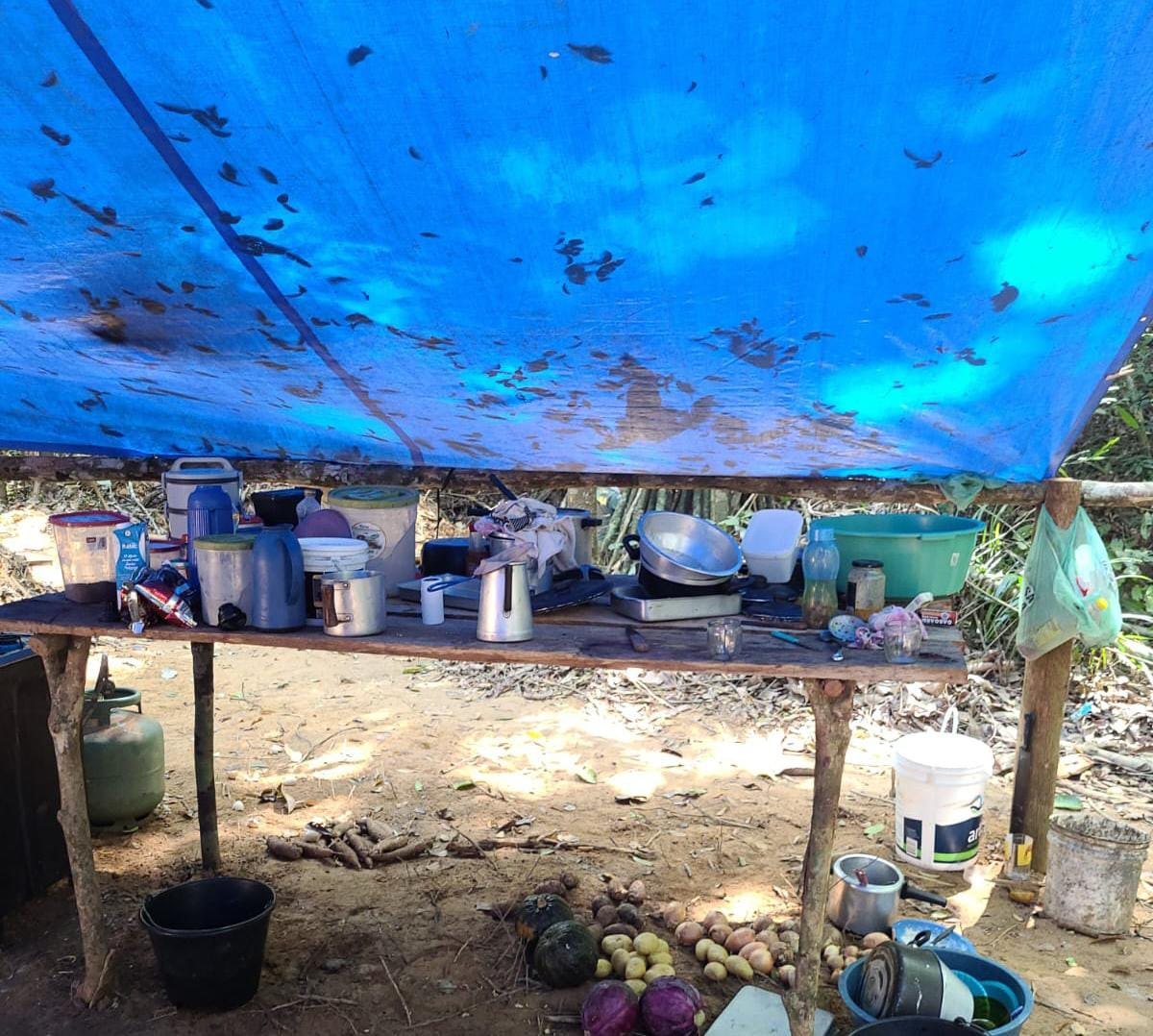 HARD INCURSION: Operação da PF combate desmatamento em Terras Indígenas