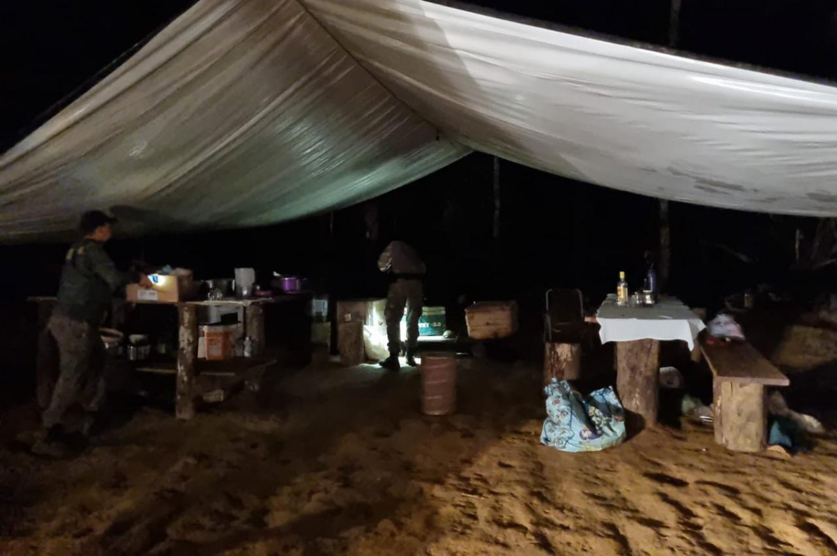 HARD INCURSION: Operação da PF combate desmatamento em Terras Indígenas