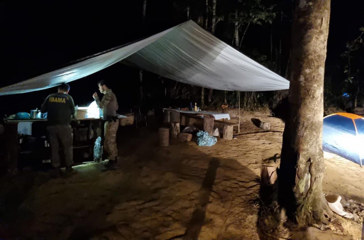 HARD INCURSION: Operação da PF combate desmatamento em Terras Indígenas