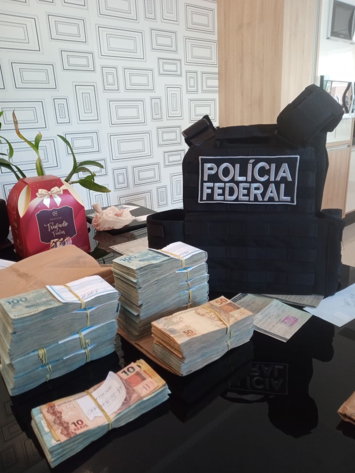 ENGANOS: PF realiza operação contra empresários acusados de esquema de desmatamento ilegal
