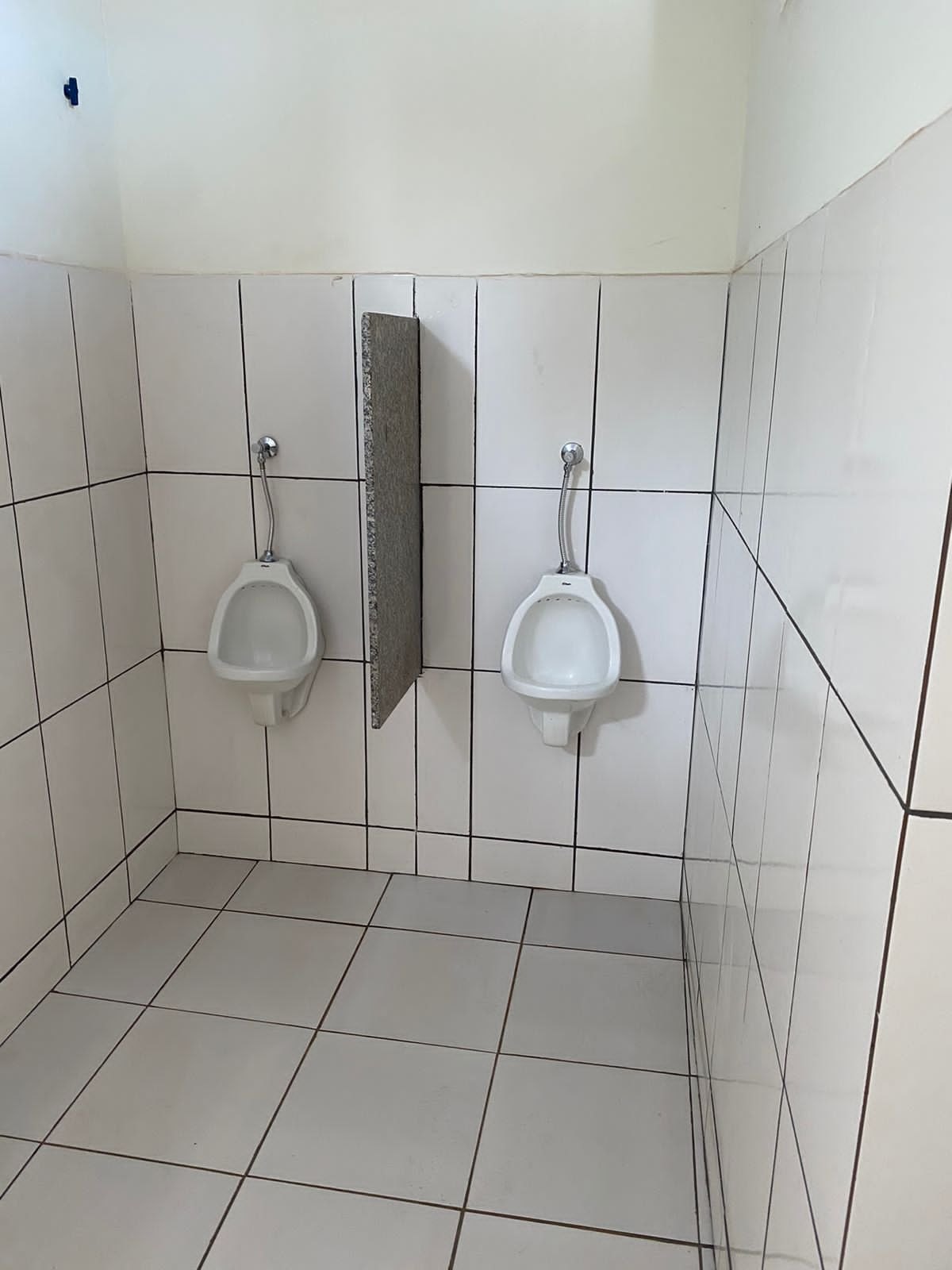 SKATE PARK: A pedido da vereadora Ellis Regina, Prefeitura reforma banheiros públicos