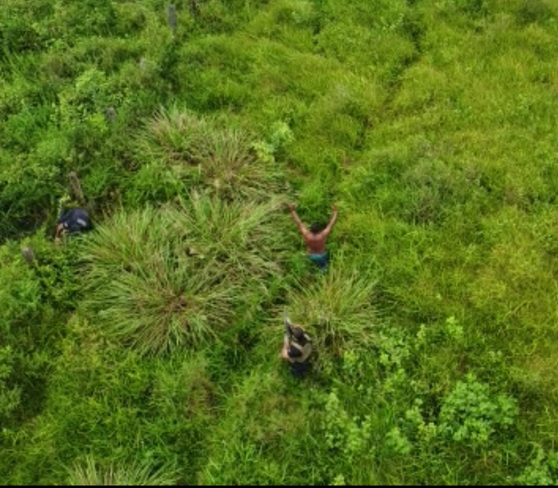 SEXTO MANDAMENTO: Polícia Civil faz megaoperação contra matanças em garimpo de RO