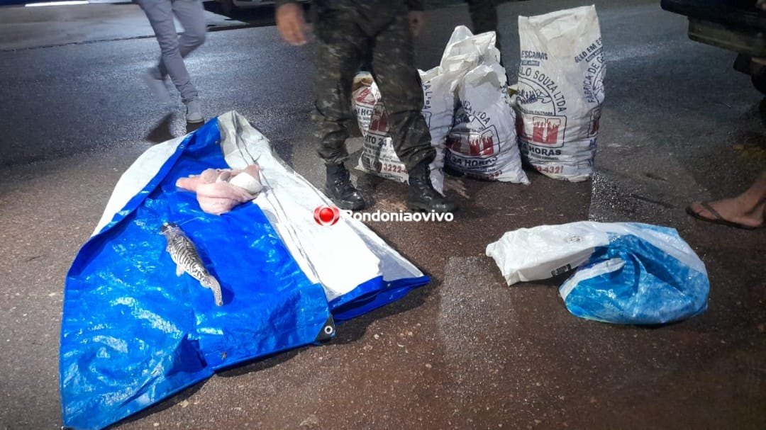 PESCA PREDATÓRIA: Homens são presos na BR-364 com 350 quilos de peixes