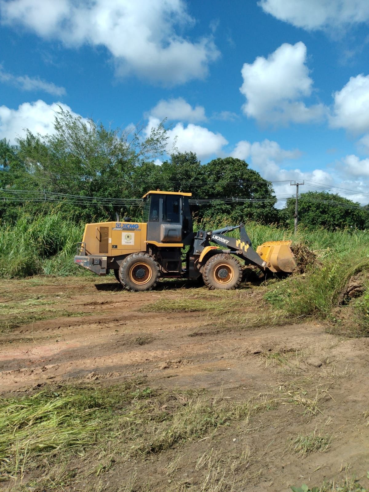 ELLIS REGINA: Vereadora pede serviço de limpeza na região do campo da AFA